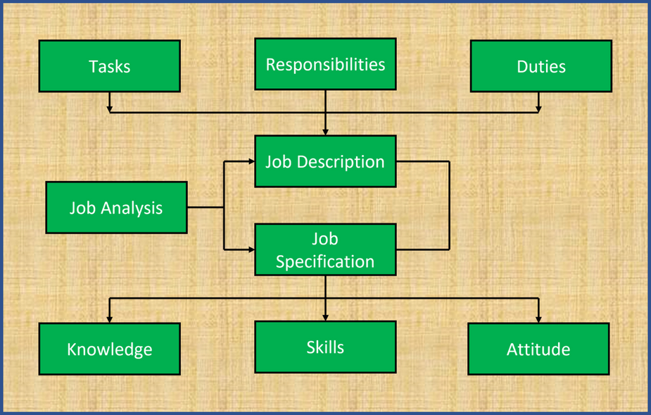 Components of Job Analysis